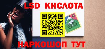крисы Боровичи