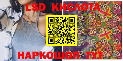 крисы Боровичи