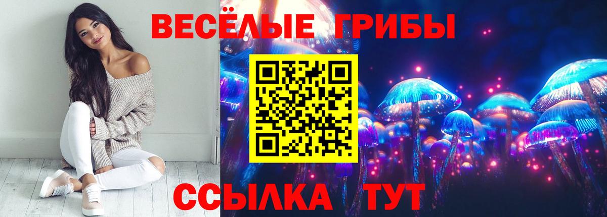 Апшеронск  Псилоцибиновые грибы Psilocybe  Вход с VPN 
